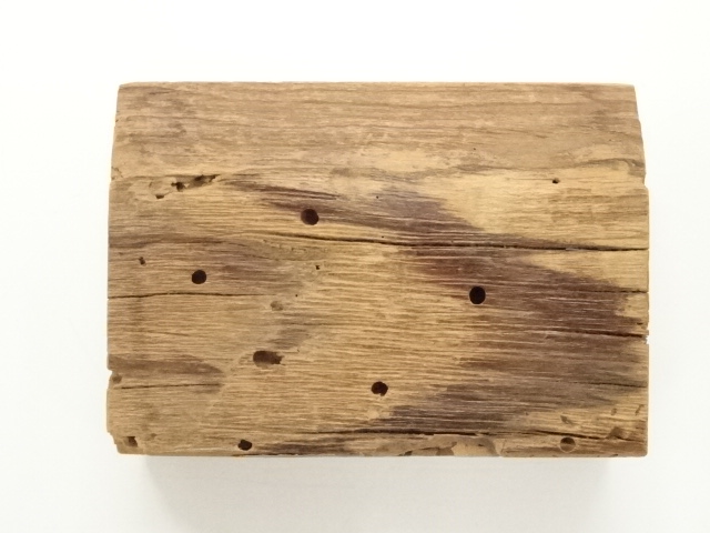  大徳寺山門古材割香合（大徳寺　聚光院　小野澤虎洞書付）（共箱）